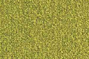 Ковролин Balsan Bolero 230 фото  | FLOORDEALER