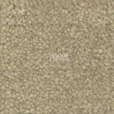 Ковролин Emphatic Beaulieu of America 56322 фото 1 | FLOORDEALER