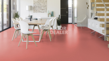 Gerflor Taralay Initial Compact (Plain & allover look) 0976 Spider Quartz фото 2 | FLOORDEALER