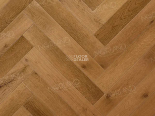 Norland Herringbone Elegant 8мм LF303-13 Дуб Помона фото 2 | FLOORDEALER