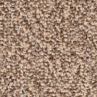 Ковролин Balsan Centaure Deco 738 фото 1 | FLOORDEALER