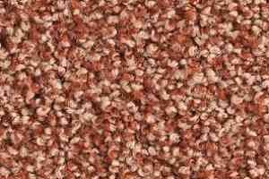 Ковролин Balsan Les Must Les Must 560 фото  | FLOORDEALER