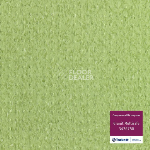 Линолеум Tarkett Iq Granit Multisafe 3476750 фото 1 | FLOORDEALER