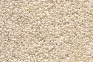 Ковролин AW Perseus 30 фото  | FLOORDEALER