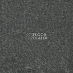 Ковролин Shaw Bradberry 30 787 фото 1 | FLOORDEALER