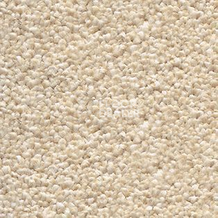 Ковролин AW Perseus 30 фото 1 | FLOORDEALER