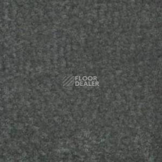 Ковролин Shaw Bradberry 30 787 фото 1 | FLOORDEALER