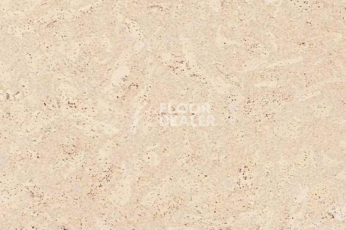 Пробковое покрытие Eco Cork замковое Madeira Crème фото 1 | FLOORDEALER