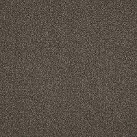 Ковролин AW Miracle 49 фото 1 | FLOORDEALER