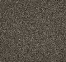 Ковролин AW Miracle 49 фото 1 | FLOORDEALER