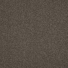 Ковролин AW Miracle 49 фото 1 | FLOORDEALER