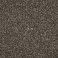 AW Miracle 49 фото 1 | FLOORDEALER