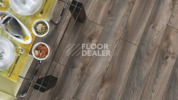 Kronotex Mammut d4792 Дуб Серый Макро фото 4 | FLOORDEALER