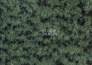 Forbo Coral Classic 4768 Hunter Green фото 2 | FLOORDEALER