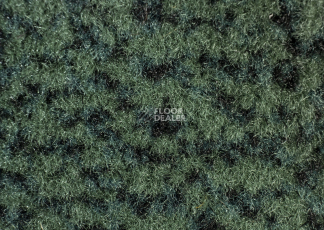 Forbo Coral Classic 4768 Hunter Green фото 2 | FLOORDEALER