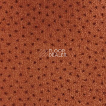 Ковролин Associated Weavers Perfecto 19 фото 1 | FLOORDEALER