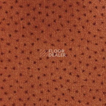 Ковролин Associated Weavers Perfecto 19 фото 1 | FLOORDEALER