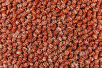 Desso Essence Pure ad 07 4422 фото 2 | FLOORDEALER