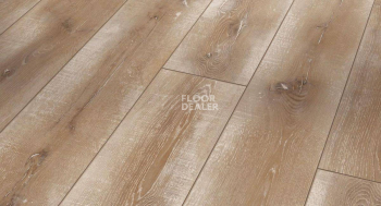 Ламинат Parador Classic 1050 4V 1601442 Дуб Винтажный Натуральный фото 1 | FLOORDEALER