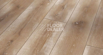 Ламинат Parador Classic 1050 4V 1601442 Дуб Винтажный Натуральный фото 1 | FLOORDEALER