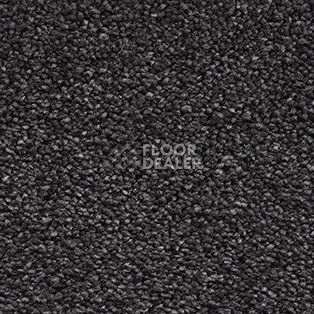 Ковролин AW Souplesse 98 фото 1 | FLOORDEALER