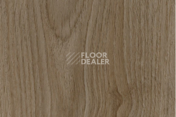 Виниловая плитка ПВХ FORBO allura decibel 0.8 wood 5224AD8 deep authentic oak (100x20 cm) фото 1 | FLOORDEALER