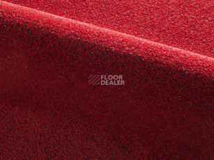 Ковролин Radici Verona 2106 фото 1 | FLOORDEALER