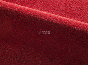 Radici Verona 2106 фото 1 | FLOORDEALER