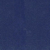 Desso Asteranne 9021 фото 1 | FLOORDEALER