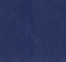 Ковролин Desso Asteranne 9021 фото 1 | FLOORDEALER