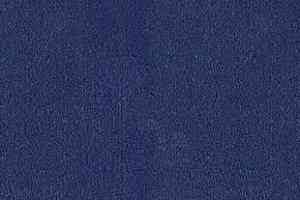 Ковролин Desso Asteranne 9021 фото  | FLOORDEALER