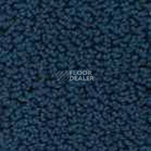 Ковролин Infloor Color 53 355 фото 1 | FLOORDEALER