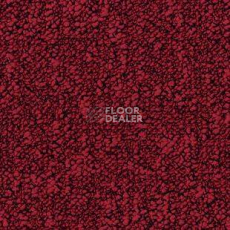 Ковровая плитка Desso Fields 4301 фото 1 | FLOORDEALER