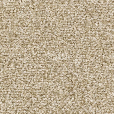 Ковролин Balsan Ultrasoft 610 фото 1 | FLOORDEALER