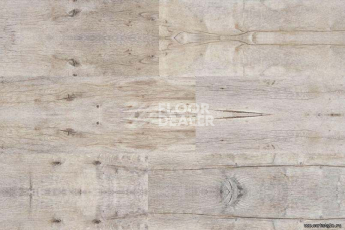 Wood SIBIRIAN LARCH LIMEWASHED фото 4 | FLOORDEALER