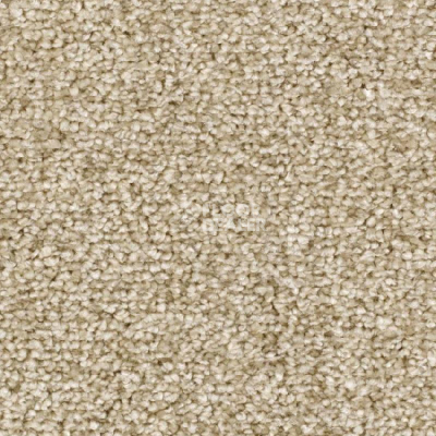 Ковролин Balsan Ultrasoft 610 фото 1 | FLOORDEALER