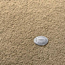 Ковролин Vorwerk Superior 1065/Viola Vorwerk 7g75  | FLOORDEALER