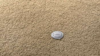Ковролин Vorwerk Superior 1065/Viola Vorwerk 7g75 фото 1 | FLOORDEALER