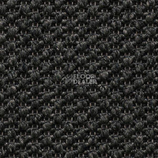 Ковролин Carpet Concept Eco Tre 681091 фото 1 | FLOORDEALER