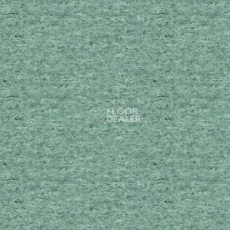 Линолеум Lg Durable DU99033 фото 1 | FLOORDEALER