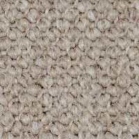Ковролин Carpet Concept Eco Cut 40642 фото 1 | FLOORDEALER