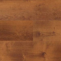 Линолеум Polyflor Expona Wood 6106 фото 1 | FLOORDEALER