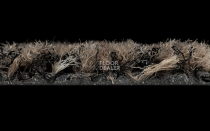 Forbo Coral Brush 5714 Shark Grey фото 3 | FLOORDEALER