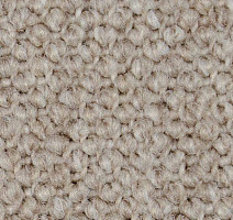 Ковролин Carpet Concept Eco Cut 40642 фото 1 | FLOORDEALER