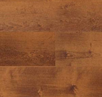 Линолеум Polyflor Expona Wood 6106 фото 1 | FLOORDEALER