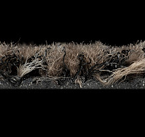 Forbo Coral Brush 5714 Shark Grey фото 3 | FLOORDEALER