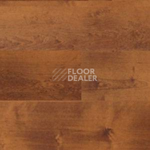 Линолеум Polyflor Expona Wood 6106 фото 1 | FLOORDEALER