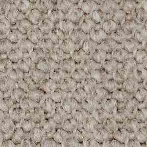 Ковролин Carpet Concept Eco Cut 40642 фото ##numphoto## | FLOORDEALER