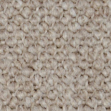 Ковролин Carpet Concept Eco Cut 40642 фото 1 | FLOORDEALER