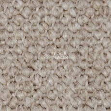 Ковролин Carpet Concept Eco Cut 40642 фото 1 | FLOORDEALER